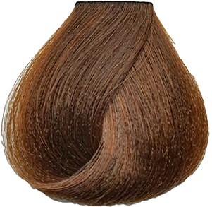 MORFOSE 10 SAÇ BOYASI 100ml / 7.73 Kapuçino Kahve