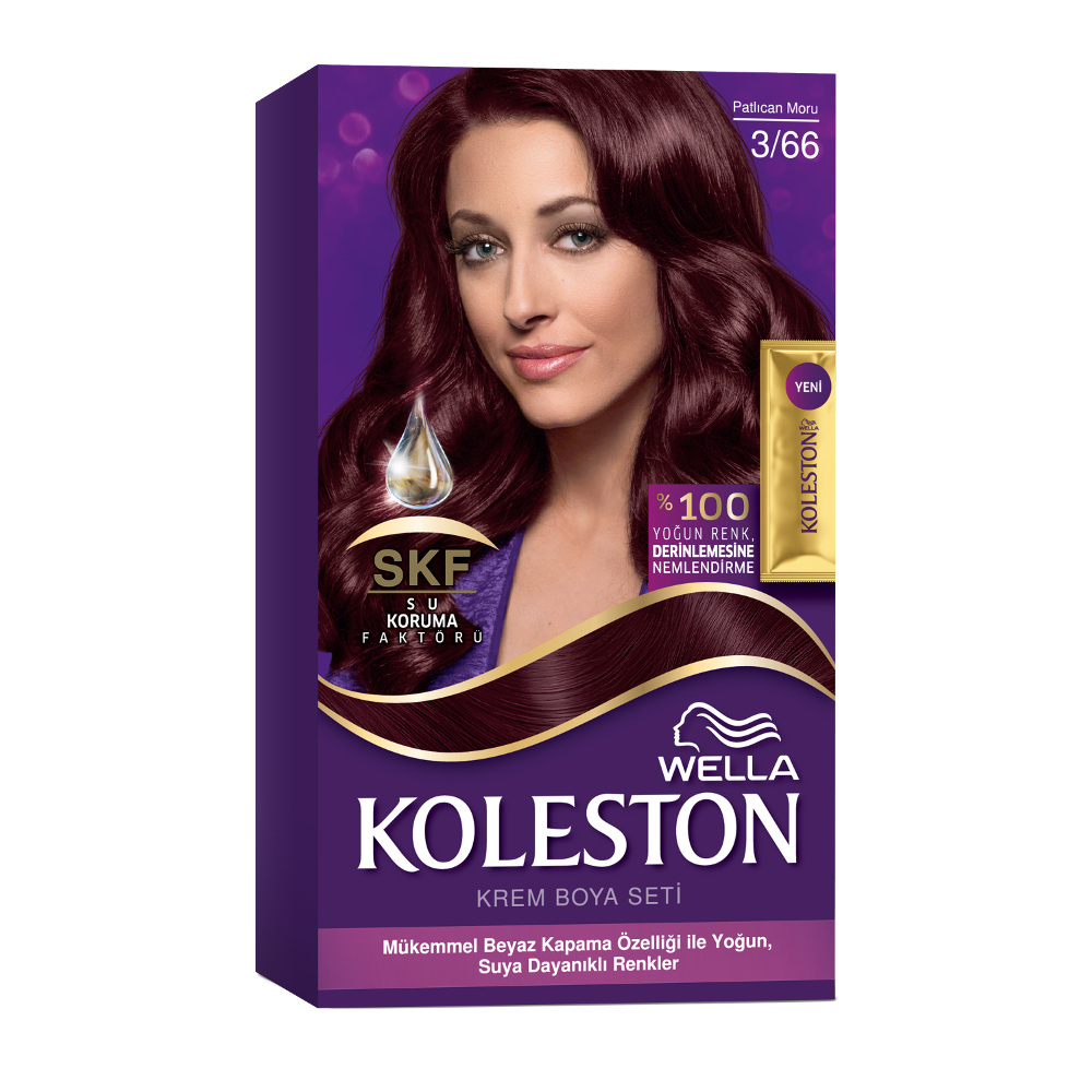 KOLESTON SAÇ BOYASI SET NO:3/66