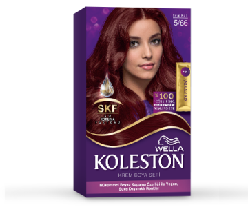 KOLESTON SAÇ BOYASI SET NO:5/66