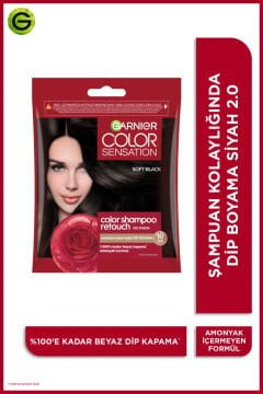 GARNIER COLOR SENSATION ŞAMPUAN SAÇ BOYASI 2.0 Siyah