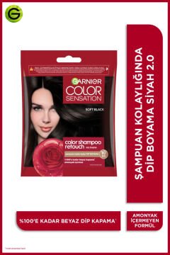 GARNIER COLOR SENSATION ŞAMPUAN SAÇ BOYASI 2.0 Siyah