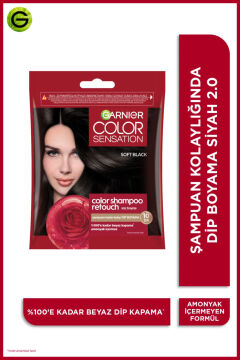 GARNIER COLOR SENSATION ŞAMPUAN SAÇ BOYASI 2.0 Siyah