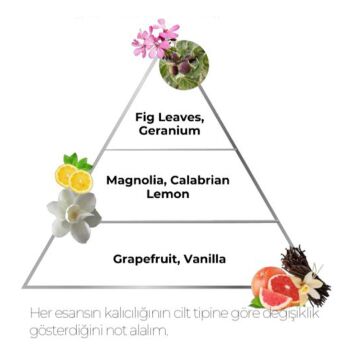 FONEX PREMIUM EDC PARFÜM 100ML NO:03