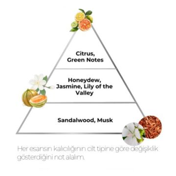 FONEX PREMIUM EDC PARFÜM 100ML NO:01